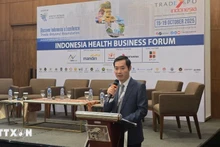Le Dr Nguyên Phuc Nam, directeur adjoint du Département du développement des marchés internationaux du ministère de l'Industrie et du Commerce. Photo: VNA.