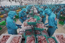 Les produits de la mer constituent l'un des principaux produits d'exportation. Photo : VNA.