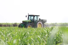 Photo : Lyluanchinhtri.