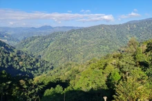 Forêts et crédits carbone : le Vietnam à l’heure des choix décisifs