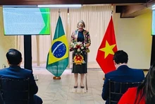 Mirela Janice Eidt, directrice du Bureau du ministère brésilien de l’Agriculture et de l’Élevage, s'exprime au séminaire. Photo: ambassade du Vietnam au Brésil.