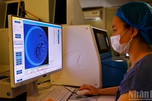 Fécondation in vitro, là où naissent les espoirs