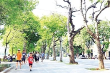 Hanoï mise sur la « ville du quart d’heure » pour un avenir vert et humain