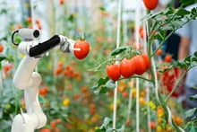 Réussir l’innovation au Vietnam : regards croisés d’experts vietnamiens en France