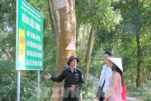 Les gardiens du « poumon vert » du sud-ouest