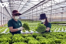 Durcissement des normes vertes : le Vietnam doit accélérer l’économie circulaire