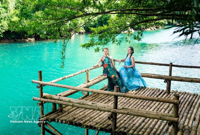 La province de Quang Tri développe des modèle touristiques sous la canopée forestière, en l'associant à la conservation des forêts et au développement durable. Photo : VNA.