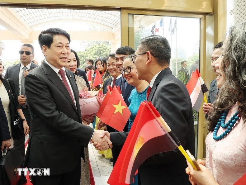 Le président de la République, Luong Cuong, et des représentants de la communauté vietnamienne en Egypte. Photo : VNA. chu-tich-nuoc-den-cairo-bat-dau-tham-cap-nha-nuoc-ai-cap-3.jpg