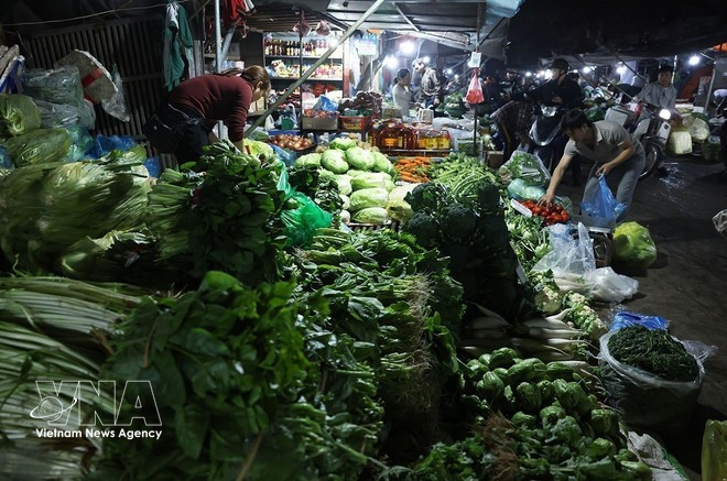 Le marché national est globalement revenu à un fonctionnement normal. Photo : VNA