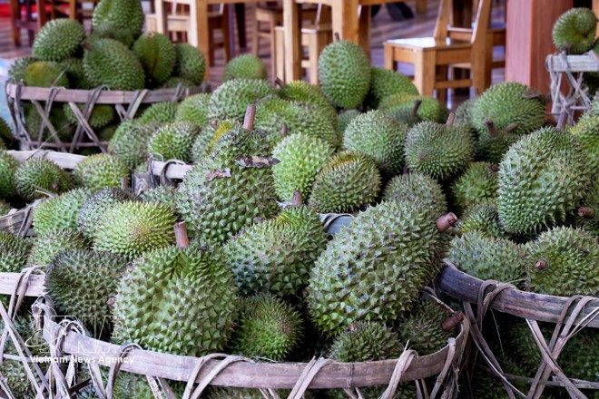 Selon les données du ministère de l’Agriculture et de l’Environnement, le chiffre d’affaires à l’exportation du secteur a atteint environ 1,09 milliard de dollars au cours des deux premiers mois de 2026. Photo : VNA