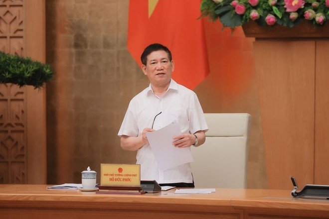 Le vice-Premier ministre Ho Duc Phoc s'exprime lors de la réunion. Photo : VNA Le vice-Premier ministre Ho Duc Phoc s'exprime lors de la réunion. Photo : VNA