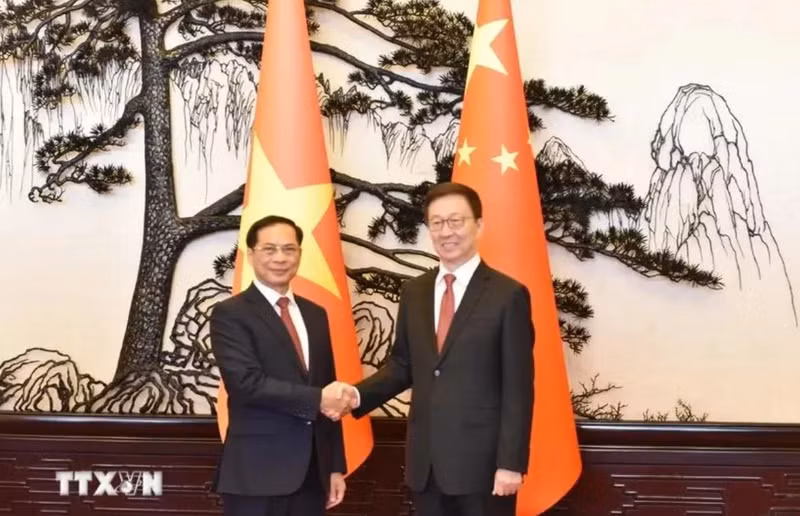 Le vice-Premier ministre et ministre des Affaires étrangères du Vietnam, Bui Thanh Son (à gauche) et le vice-président chinois Han Zheng. Photo : VNA.