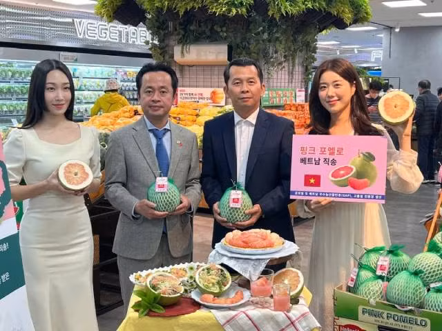 Le pamplemousse vietnamien est officiellement en vente dans le réseau de supermarchés Lotte Mart en R. de Corée. Photo: congthuong.vn