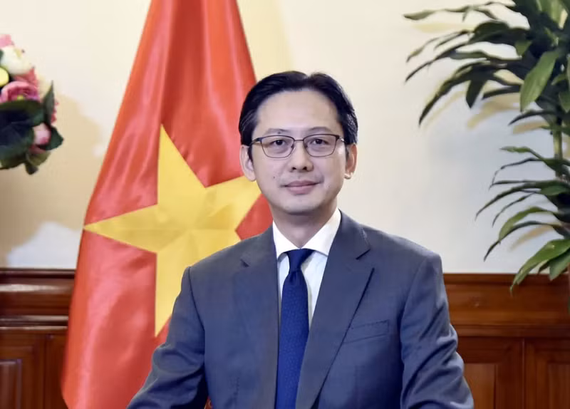 Le vice-ministre des Affaires étrangères Do Hung Viet. Photo: baochi