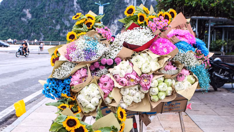 Des vélos chargés de fleurs à Ha Long. Photo: Daidoanket