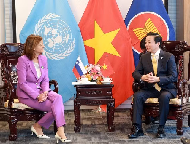 Le vice-Premier ministre Tran Hong Ha reçoit le vice-Premier ministre slovène et ministre des Affaires étrangères Tanja Fajon en marge de la Conférence des Nations Unies sur l'eau tenue le 23 mars à New York, aux États-Unis. Photo: CPV