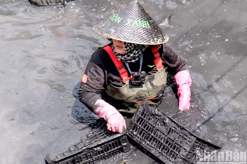 De nombreux jeunes de la commune de Phuoc Kiên, district de Nhà Bè, en collaboration avec le groupe Green Saigon et l’Association des amoureux des déchets, ont récemment dragué la coulée et amélioré le paysage du pont de Rach Chua Lon dans la commune de Phuoc Kiên. Photo : NDEL.