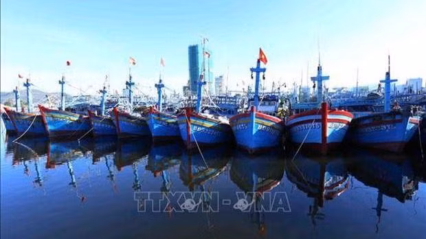 Photo: VNA