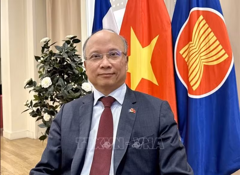 L'ambassadeur du Vietnam en France Dinh Toan Thang. Photo : VNA.