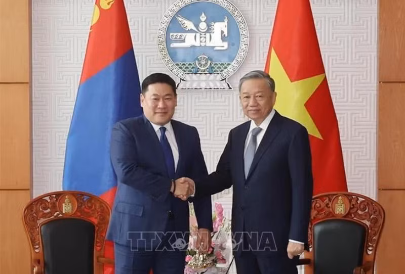 Le secrétaire général du Parti communiste du Vietnam et président Tô Lâm (droite) et le Premier ministre de Mongolie Luvsannamsrain Oyun-Erdene. Photo : VNA.