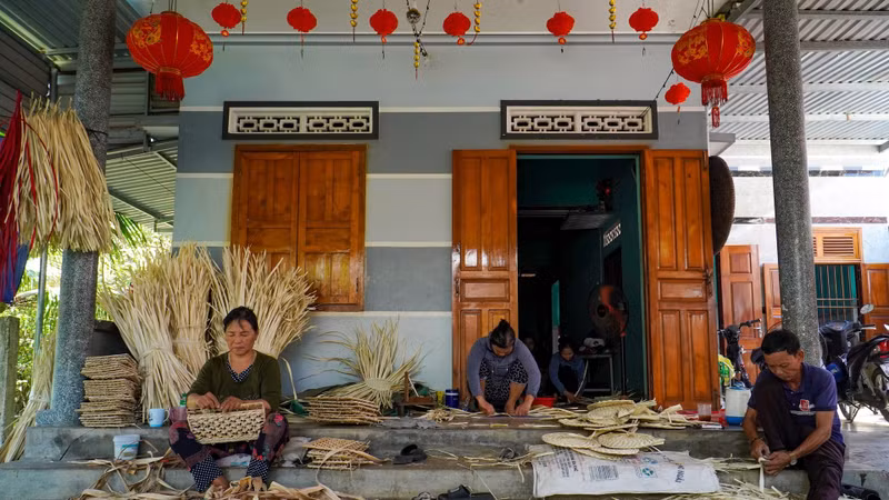 Les habitants teintent les feuilles de « buông » pour tresser des éventails. Photo : daidoanket.vn