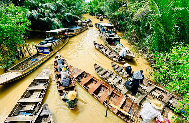 La province de Bên Tre est connue sous le nom de « région des Cocotiers ». Photo : hanoimoi.vn