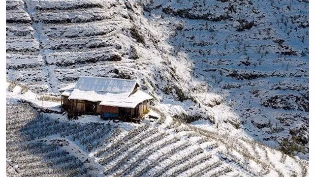 La neige recouvrait les rizières en terrasses à Sapa. Photo : Thetravel.com