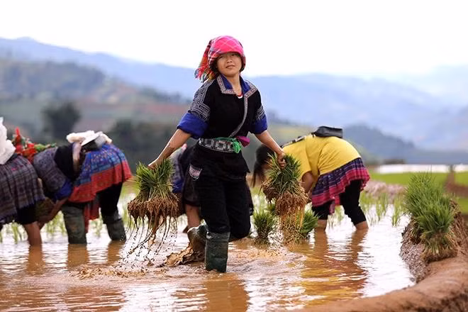 Le travail rend la nature plus belle et nourrit les gens.