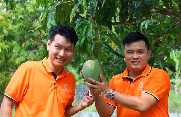 Groupe de jeunes 9X CamLamOnline (district de Cam Lam, province de Khanh Hoa) avec la mangue fraîche présentée sur le site Web. Photo : VNA
