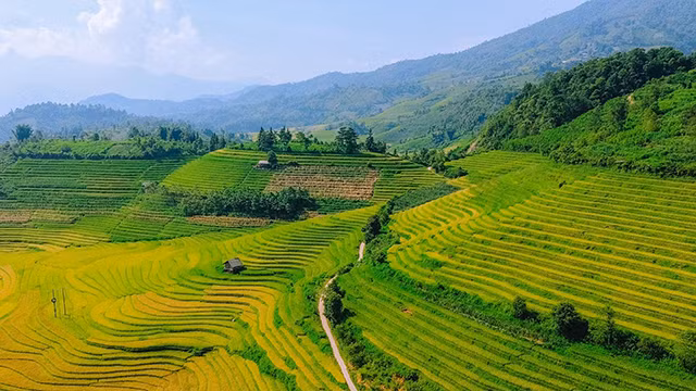 Des belles rizières en terrasse à Nâm Cang. Photo: plo.vn
