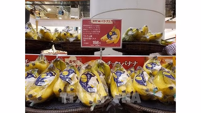 Des bananes du Vietnam sont vendues dans le supermarché AEON à Saitama au Japon. Photo: VNA