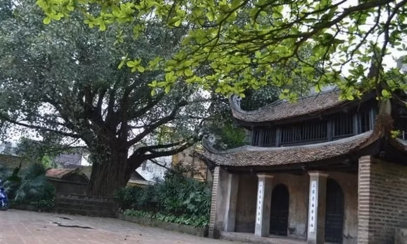 Des vestiges architecturaux de l'ancien village de Lai Dà, village natal du SG Nguyên Phu Trong ảnh 1