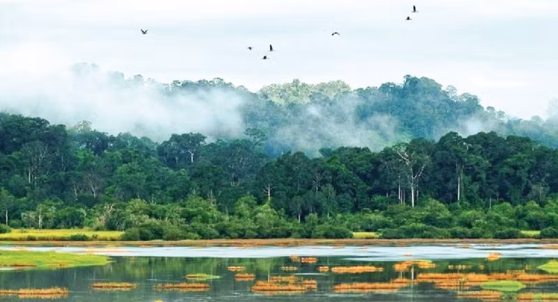 Le parc national de Cat Tien rejoint la Liste verte de l'UICN