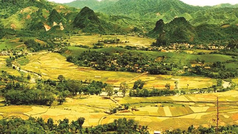 Le paysage sauvage du village d’U (district de Tân Son, province de Phu Tho, au Nord). Photo : Luong Tuân/VNA.
