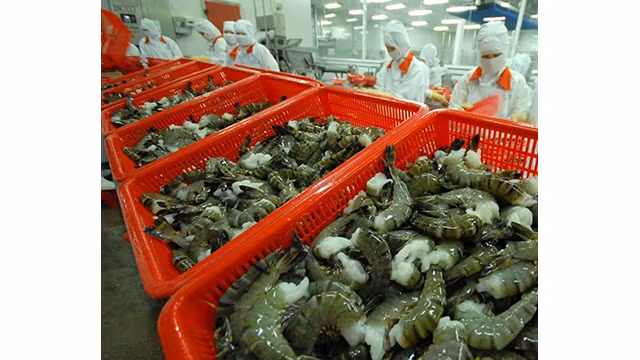 La région du Moyen-Orient est considérée comme marché potentiel. Photo : congthuong.vn