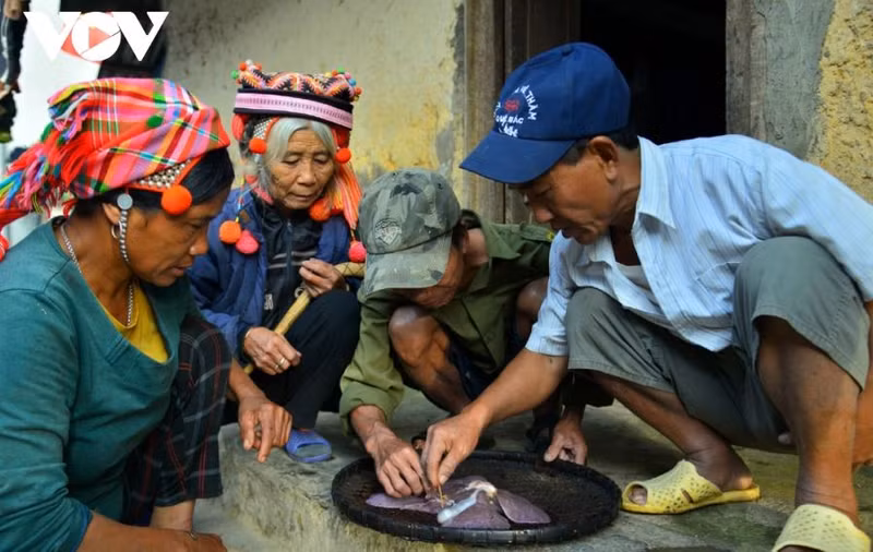 L'une des caractéristiques culturelles spirituelles uniques que les Ha Nhi conservent encore pendant la fête traditionnelle du Têt est la coutume de regarder du foie de porc. Photo: VOV
