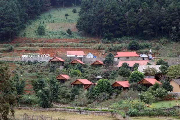 La zone de l'écotourisme Vân Hô, province de Son La (Nord). Photo : VNA.