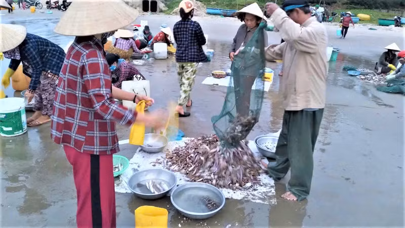 Les commerçants achètent des fruits de mer pour en approvisionner les restaurants et les marchés de gros de la région.