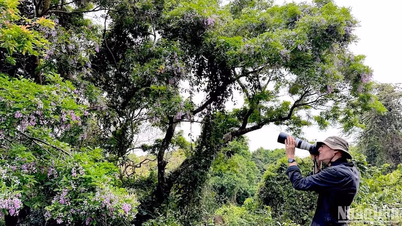 Franz Johann, 67 ans, de nationalité allemande, a passé 2 mois à voyager à Dà Nang. Photo : nhandan.vn