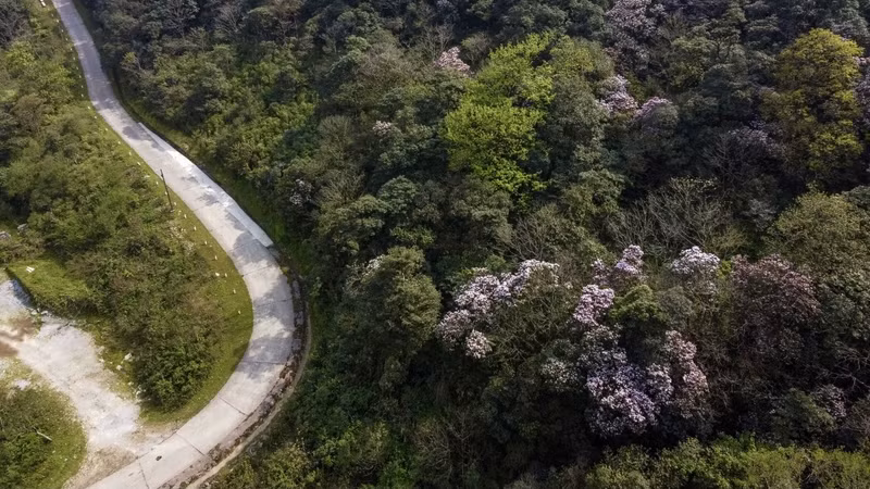 Le parc national Phia Oac - Phia Den fait partie du géoparc Non Nuoc Cao. Photo : VOV.