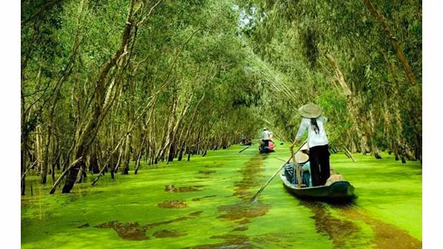 Il s’agit d’une terre d'environnement écologique spécial avec de nombreuses sites archéologiques et historiques. Photo : vtcnews.vn