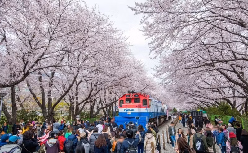 Une fête en République de Corée. Photo: KTO