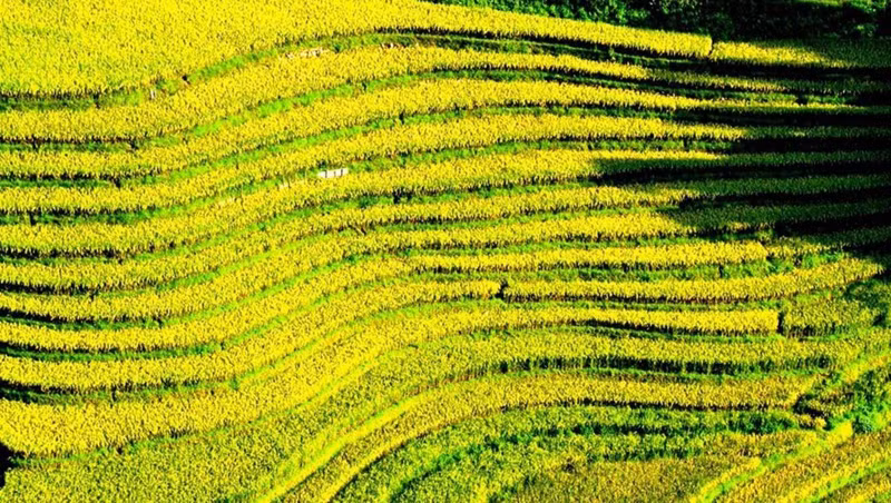 Elles sont aujourd'hui un produit touristique spécifique de cette localité. Photo: NDEL