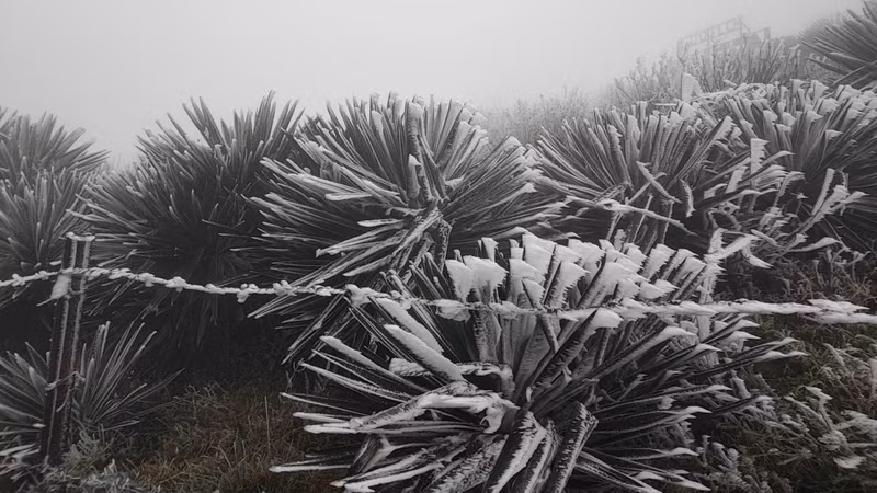 La neige et la glace couvrent le sommet de Mâu Son. Photo: VOV