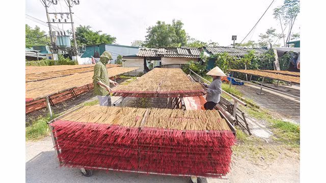 Les habitants du village artisanal de Quang Phu Câu dans le district d'Ung Hoà, à Hanoi, font sécher à l’extérieur des bâtons d'encens pour se préparer au Têt traditionnel. Photo : kinhtedothi.vn