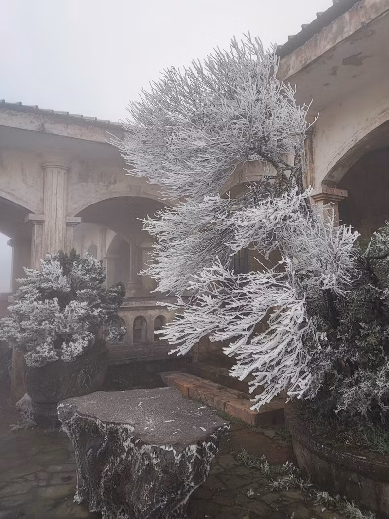 Selon le bureau de gestion de la zone touristique de Mâu Son, des couches épaisses de neige et de glace, s'étendant sur environ 3 kilomètres couvrent la zone depuis l'intersection de Phôi Câp jusqu'au sommet de Mâu Son, province de Lang Son. Photo: VOV