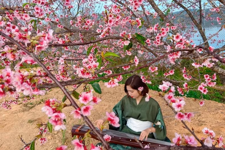 Sur l'île aux fleurs de Pa Khoang, les visiteurs ont également de nombreuses options pour profiter des plats vietnamiens et japonais. Photo : NDEL.