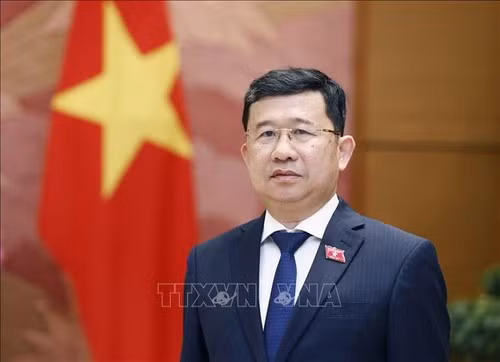 Le Président de la Commission des relations extérieures de l’Assemblée nationale Vu Hai Hà. Photo: Doan Tân/VNA.