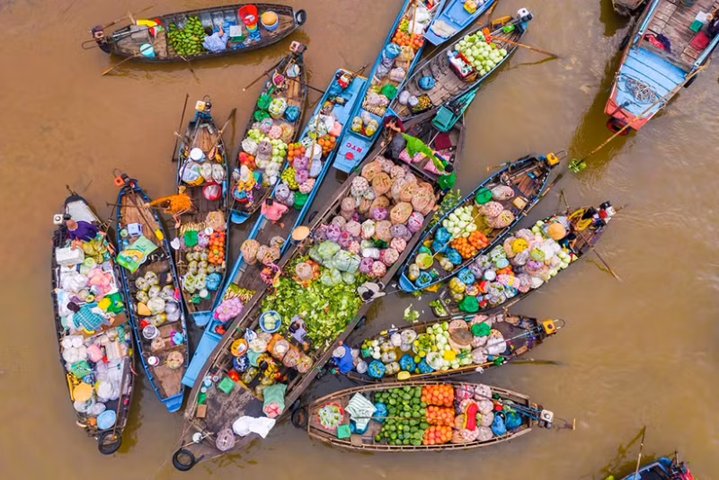 Le delta du Mékong est l'une des expériences particulièrement intéressantes en arrivant dans le Sud du Vietnam. Photo : sggp.org.vn
