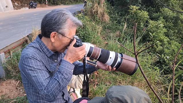 Les touristes étrangers aiment prendre des photos des doucs dans la péninsule de Son Trà. Photo: VNA